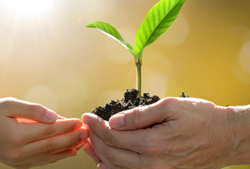 Peran Strategis Dinas Lingkungan Hidup (DLH) dalam Pengelolaan dan Pelestarian Lingkungan di Daerah